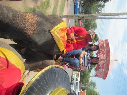 Princess and Bam on their ride