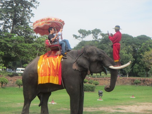 One way to take a photo on an elephant