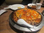 Tofu at a Sizhuan style restaurant - went well with the spicy bullfrog: by zioned, Views[338]