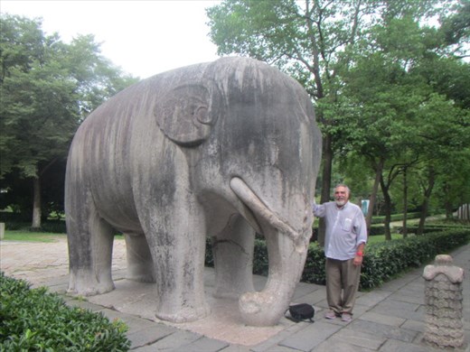 My friend the elephant helping me feel small