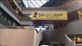 Singin in the Rain at the Hong Kong Academiy of Performing Arts: by zioned, Views[254]