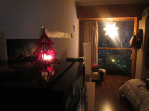 My apartment festivized for Christmas
