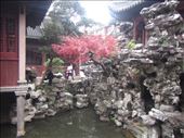 Yu Garden - some serenity in the midst of bustling Shanghai: by zioned, Views[294]