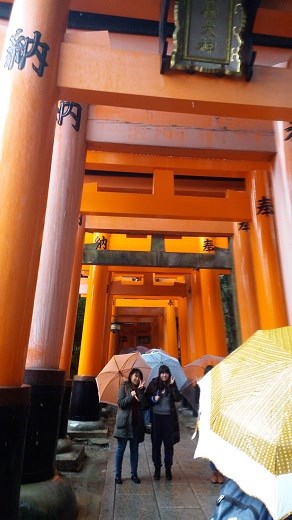 Inari Temple - a thousand gates...or so
