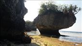 Our beach view - water was delightful!: by zioned, Views[207]