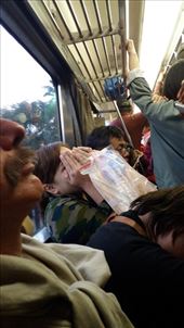 More Train fun: by zioned, Views[413]