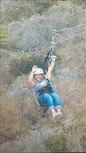 Zip lining on Catalina: by ziparound, Views[157]