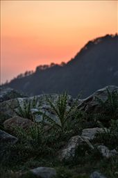 Born to be wild !: by zkithan, Views[295]