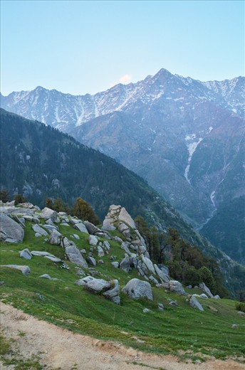 In Solitude i find rest