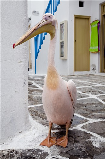 The fourth photo depicts one of the main attractions of the island!