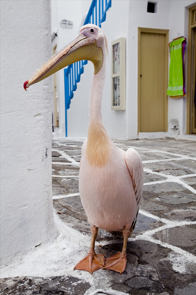 The fourth photo depicts one of the main attractions of the island!