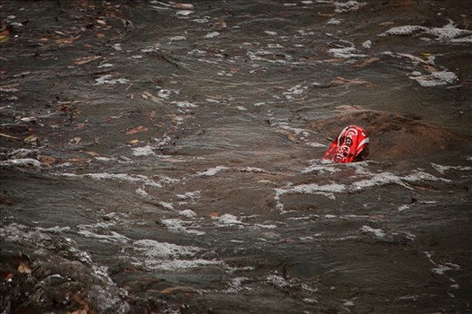 We subconsciously link terms such as ‘pristine’ to our imaginings of Australia’s world famous coast and deny – or are simply oblivious to – the devastating reality of our own poor waste disposal procedures. What I'd hoped to capture was not the crystal seas and golden sands that we depart to when we daydream, but the actuality of its true, current state. 