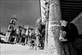 Book seller in the Cathedral square in the downtown of Havana: by zoltanbalogh, Views[299]