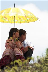 They found Love, at this place but long time ago. The Hill tribes of northern Vietnam meet at the colorful weekly market not only for buying and selling, also for searching love.: by zsoltfazekas, Views[664]