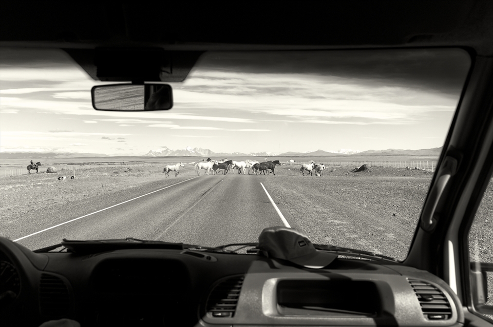 Horses leaded by a gaucho cross a road in Patagonia, Argentina.