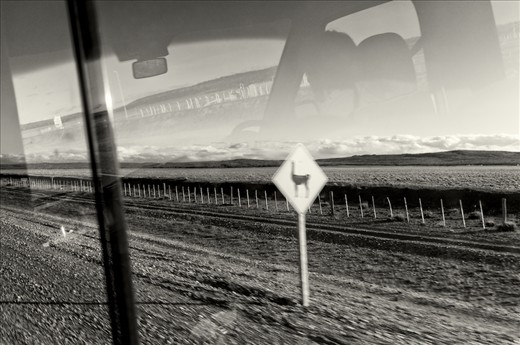 A road sign warns about the guanacos in Patagonia.