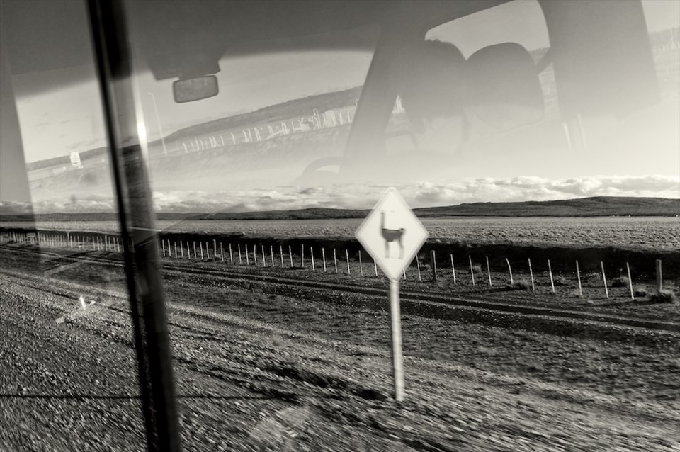 A road sign warns about the guanacos in Patagonia.
