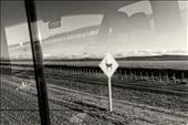 A road sign warns about the guanacos in Patagonia.: by zulufriend, Views[321]