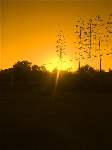 Rise of the sun is like pair of scesers cuttin the blanket of dawn.