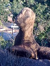 This rock shaped excatly like world cup trophy : by zwane-mampuru, Views[224]