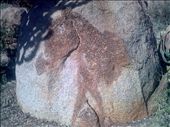 Donkey natural art pictur on the rock. : by zwane-mampuru, Views[329]
