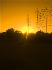 Rise of the sun is like pair of scesers cuttin the blanket of dawn.: by zwane-mampuru, Views[242]