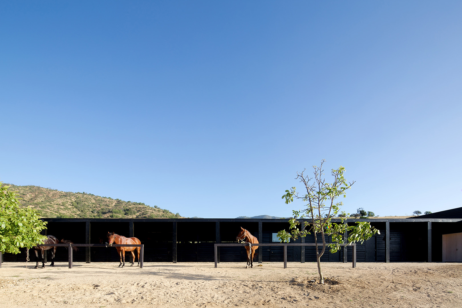 Redefining Traditional Architecture – Modern Elegance in Chile by Gonzalo Mardones