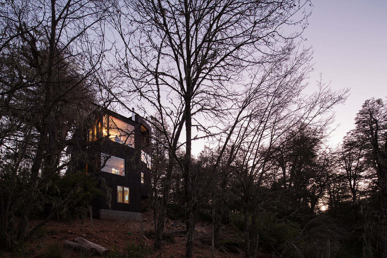 A Symphony of Nature – Dacha Retreat by DRAA