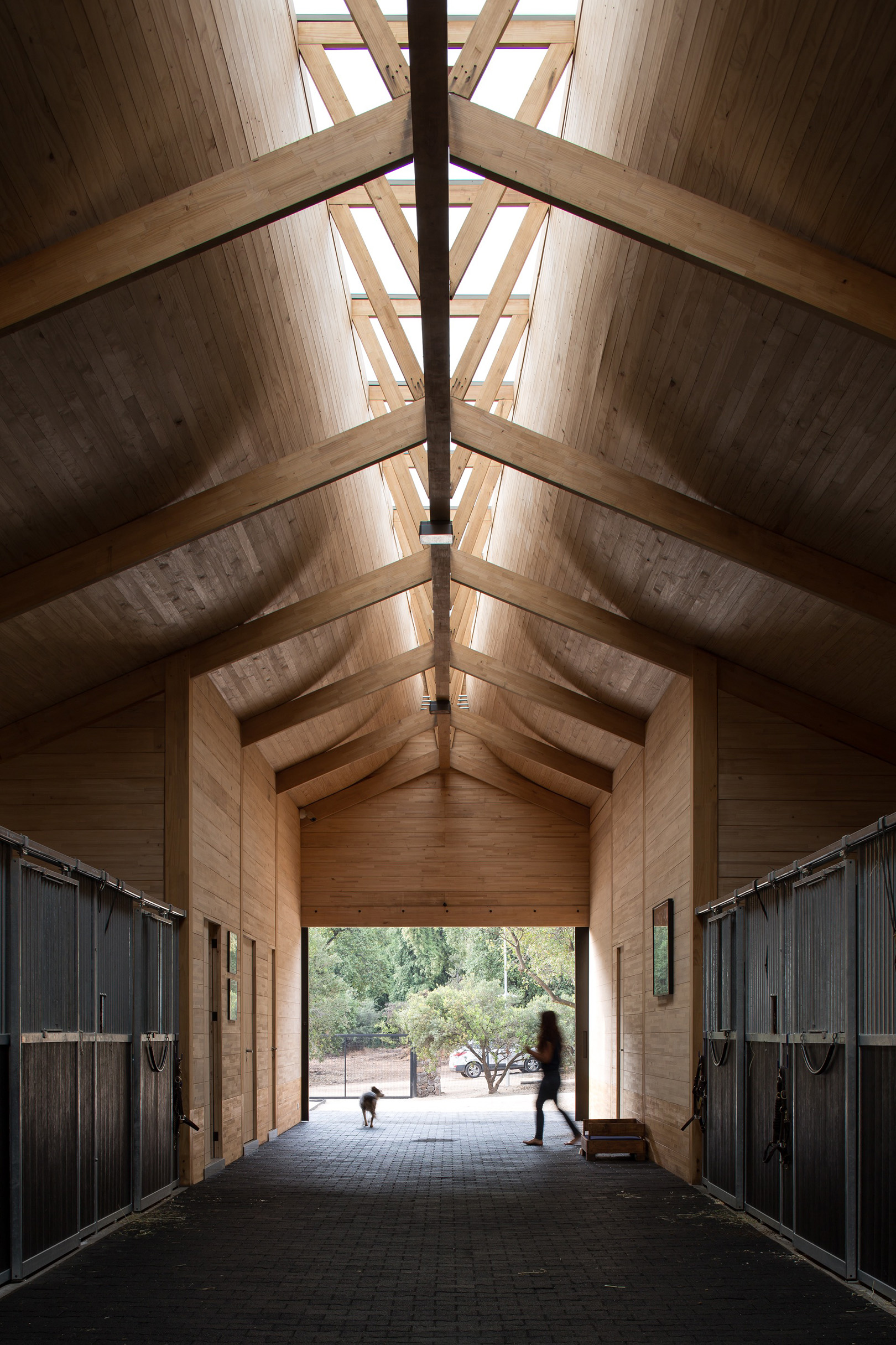 Modern Design – MSPorthorses Stables by Matias Zegers