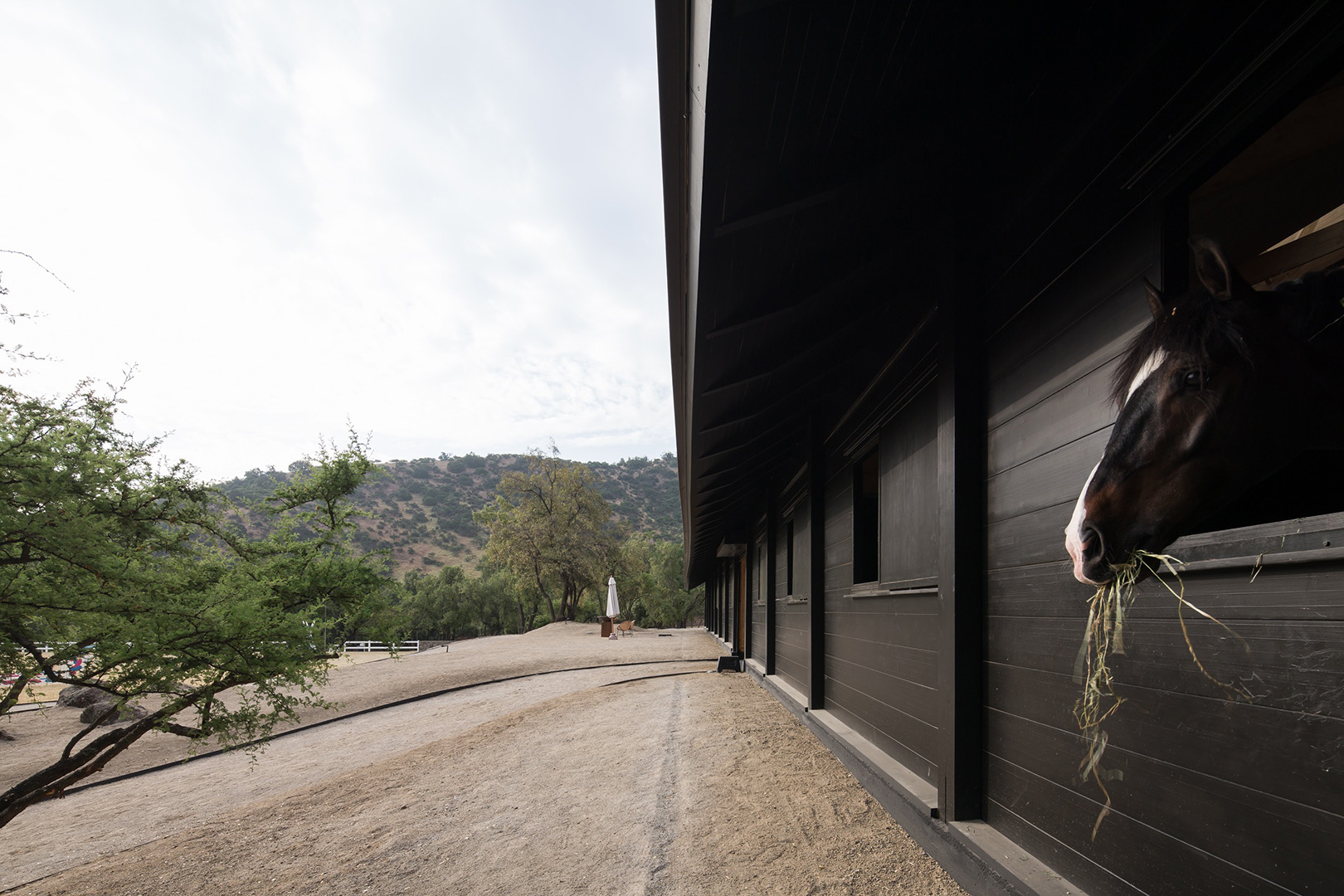 Modern Design – MSPorthorses Stables by Matias Zegers