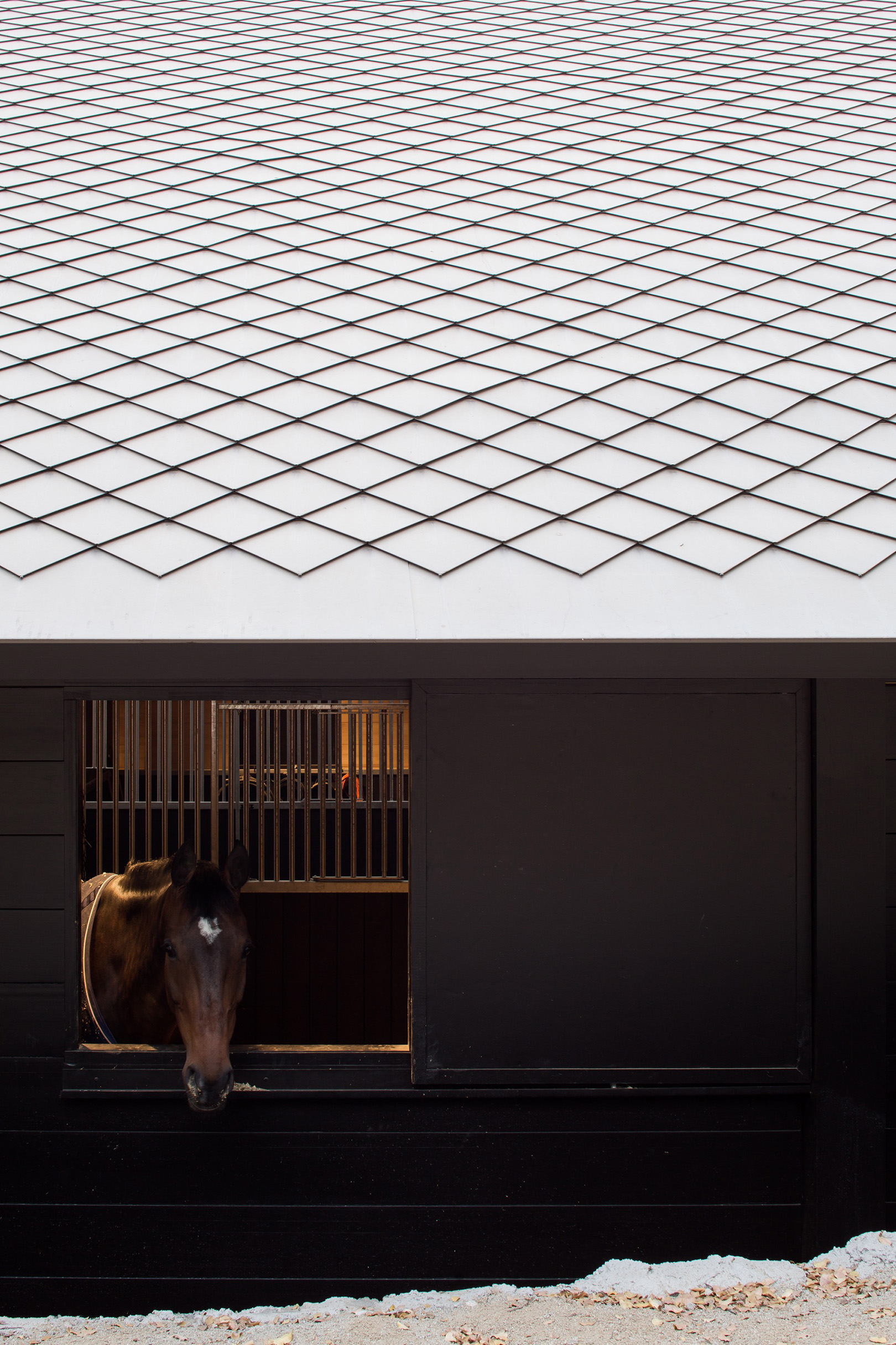 Modern Design – MSPorthorses Stables by Matias Zegers