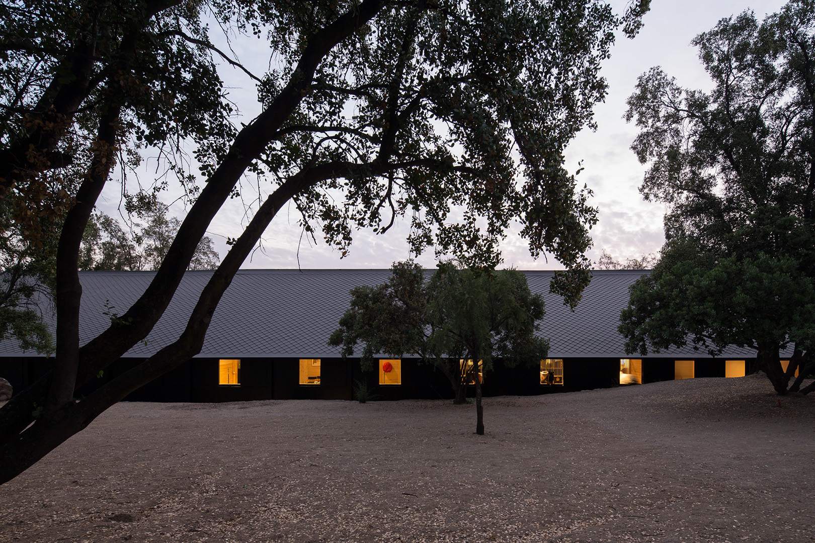 Modern Design – MSPorthorses Stables by Matias Zegers