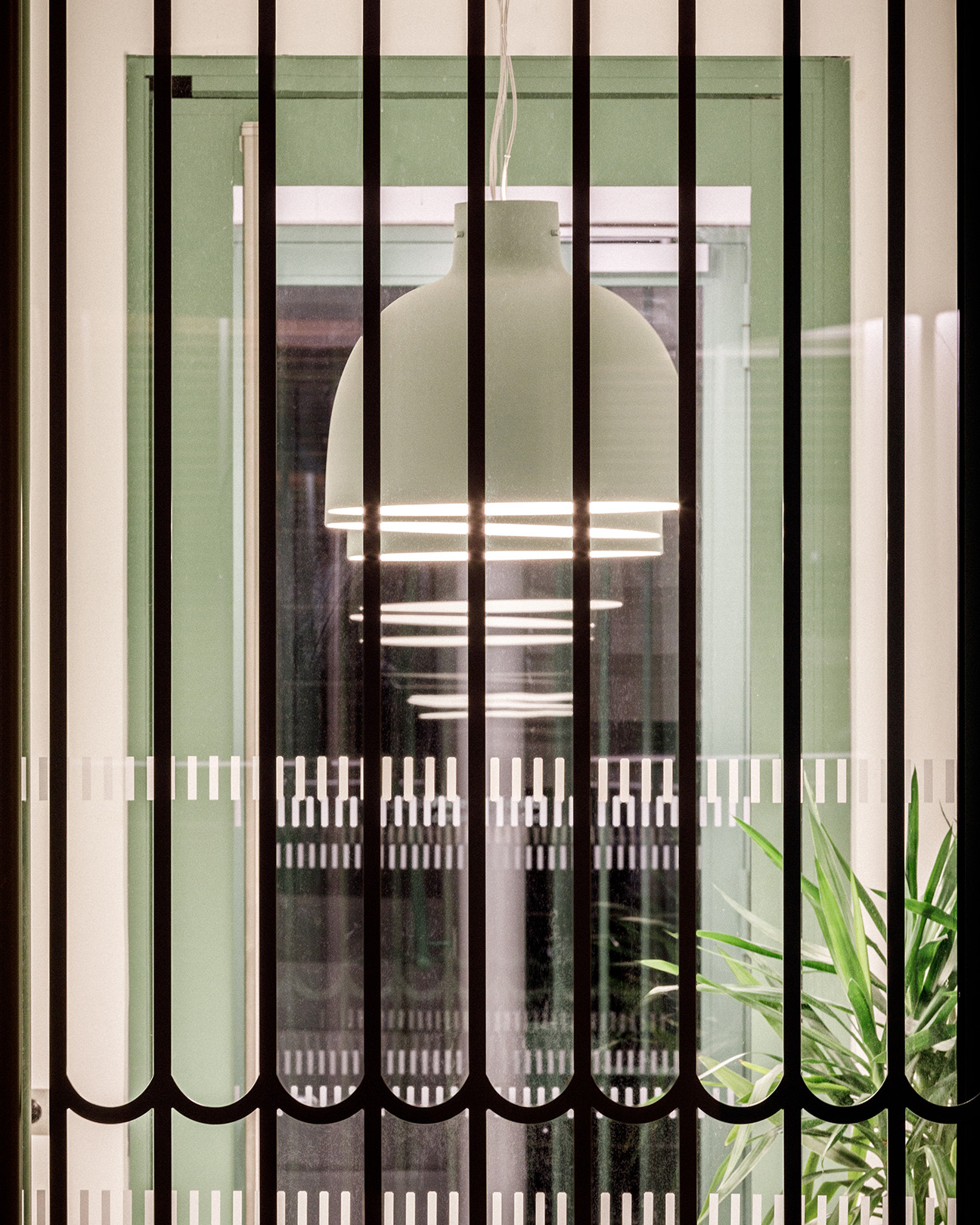 Parisian Elegance – Rue Jean-Bart by Jean-Christophe Quinton