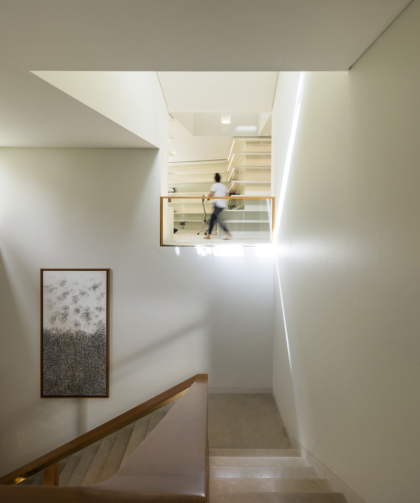 A Harmonious Response – Three Gardens House by AGi Architects