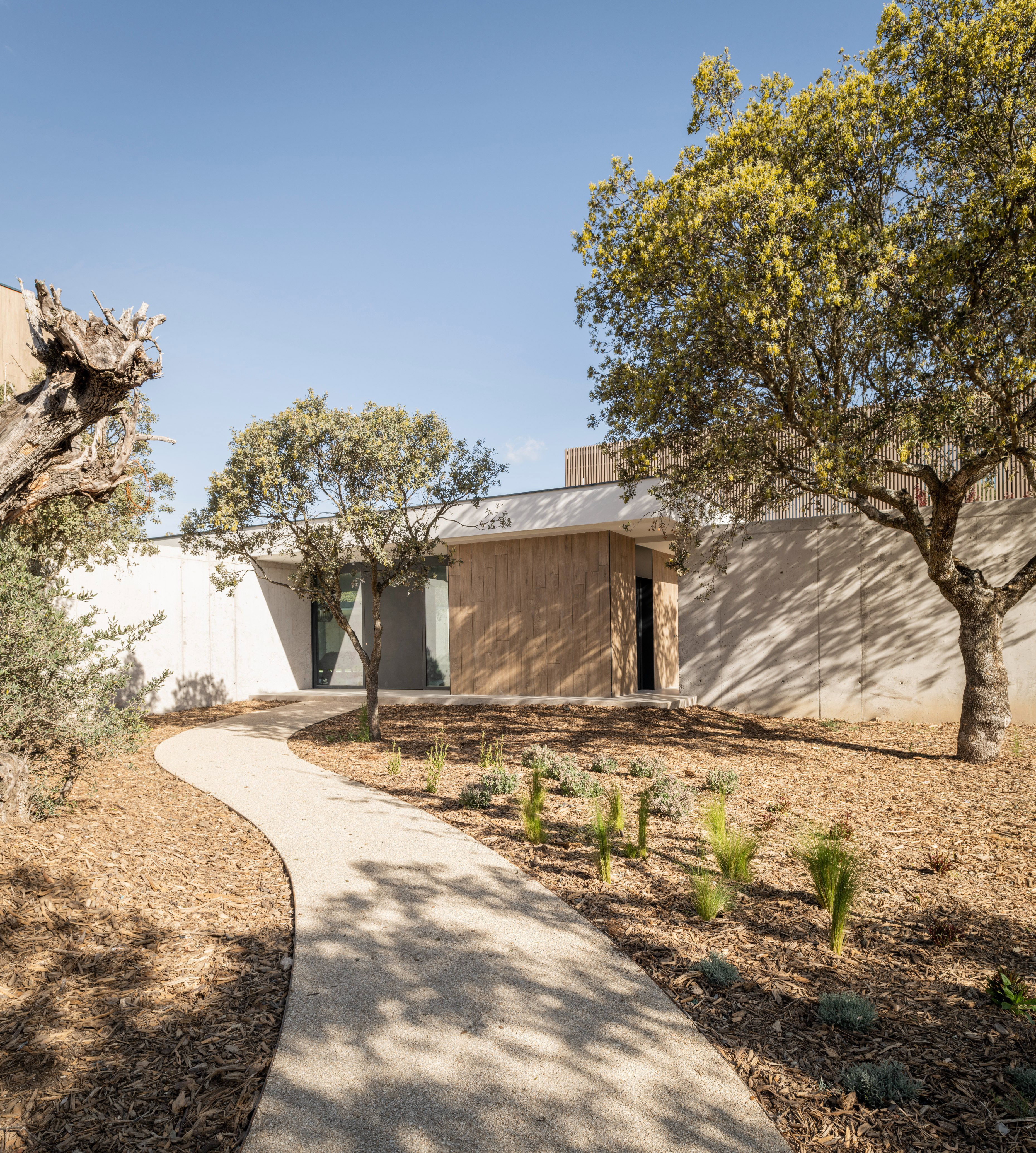 Organic Geometry – House TG3 by FH2L Arquitectos