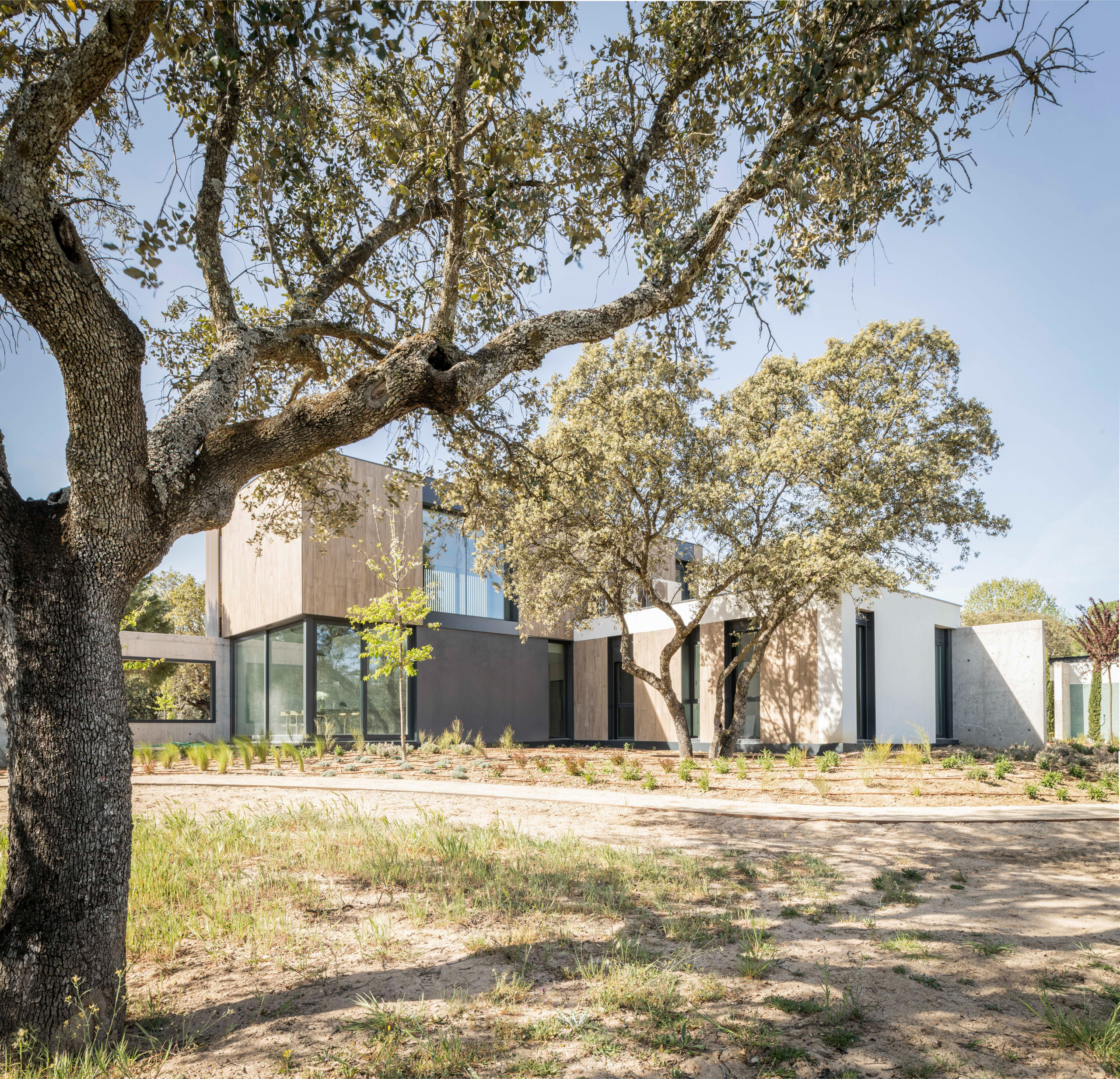 Organic Geometry – House TG3 by FH2L Arquitectos