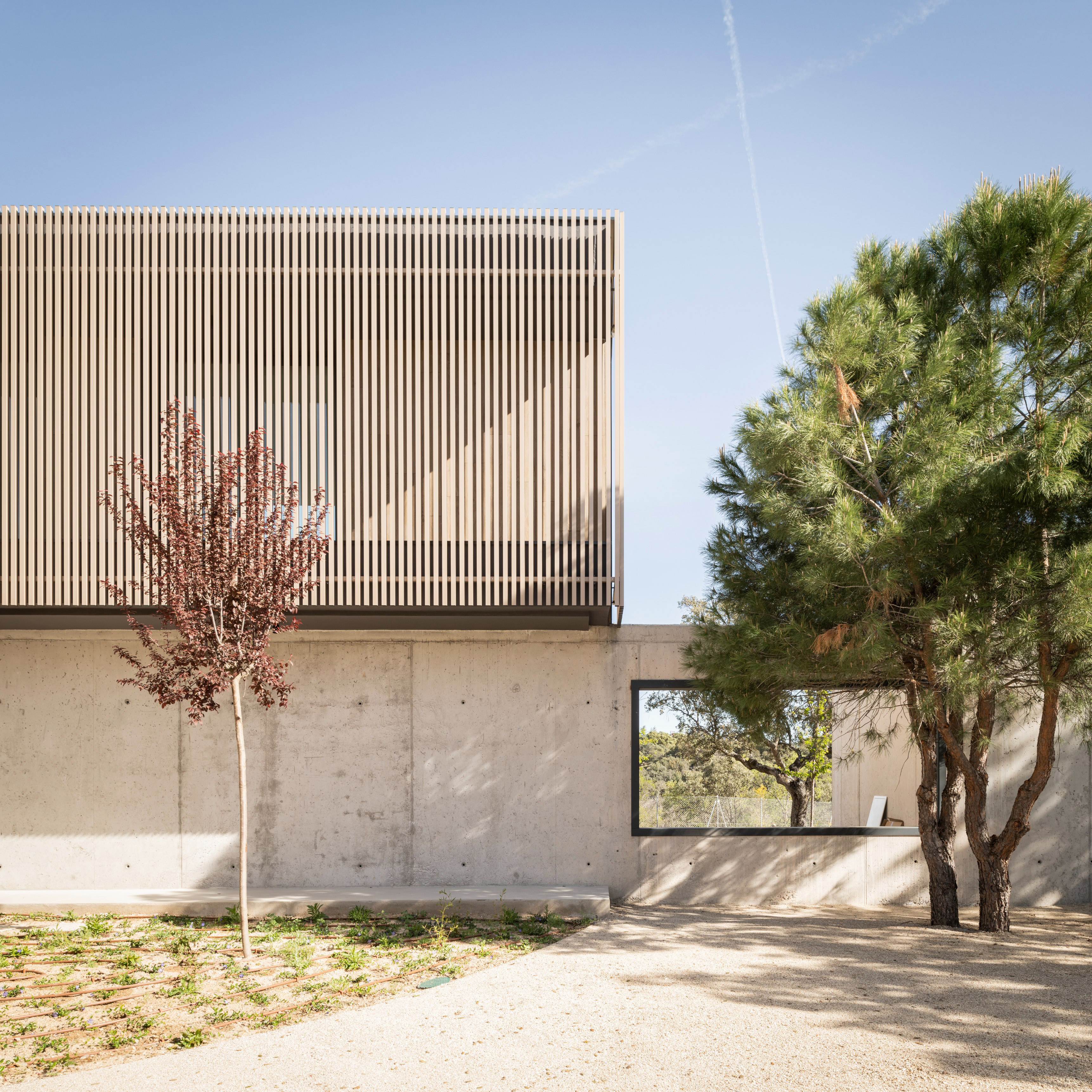 Organic Geometry – House TG3 by FH2L Arquitectos
