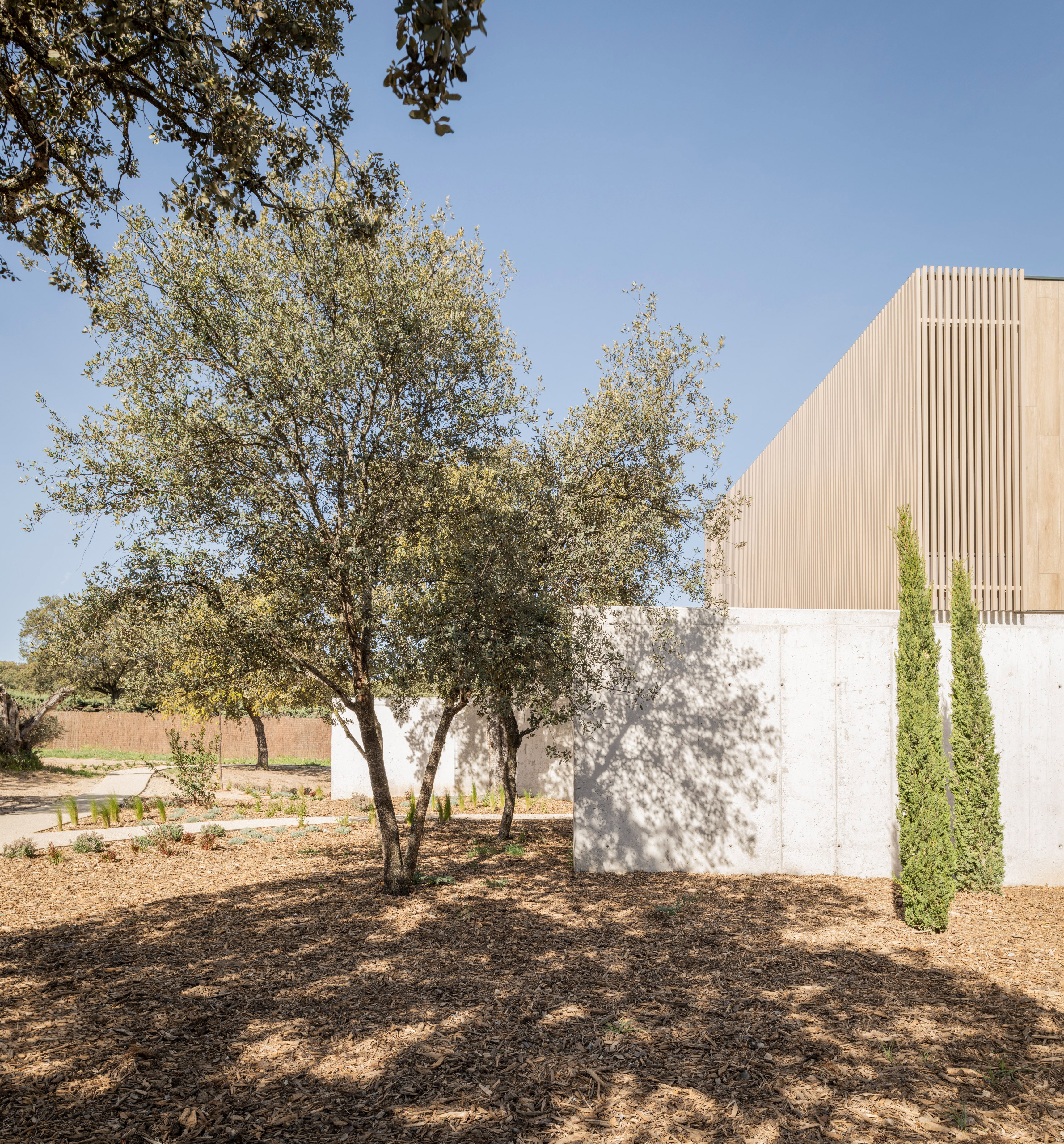 Organic Geometry – House TG3 by FH2L Arquitectos