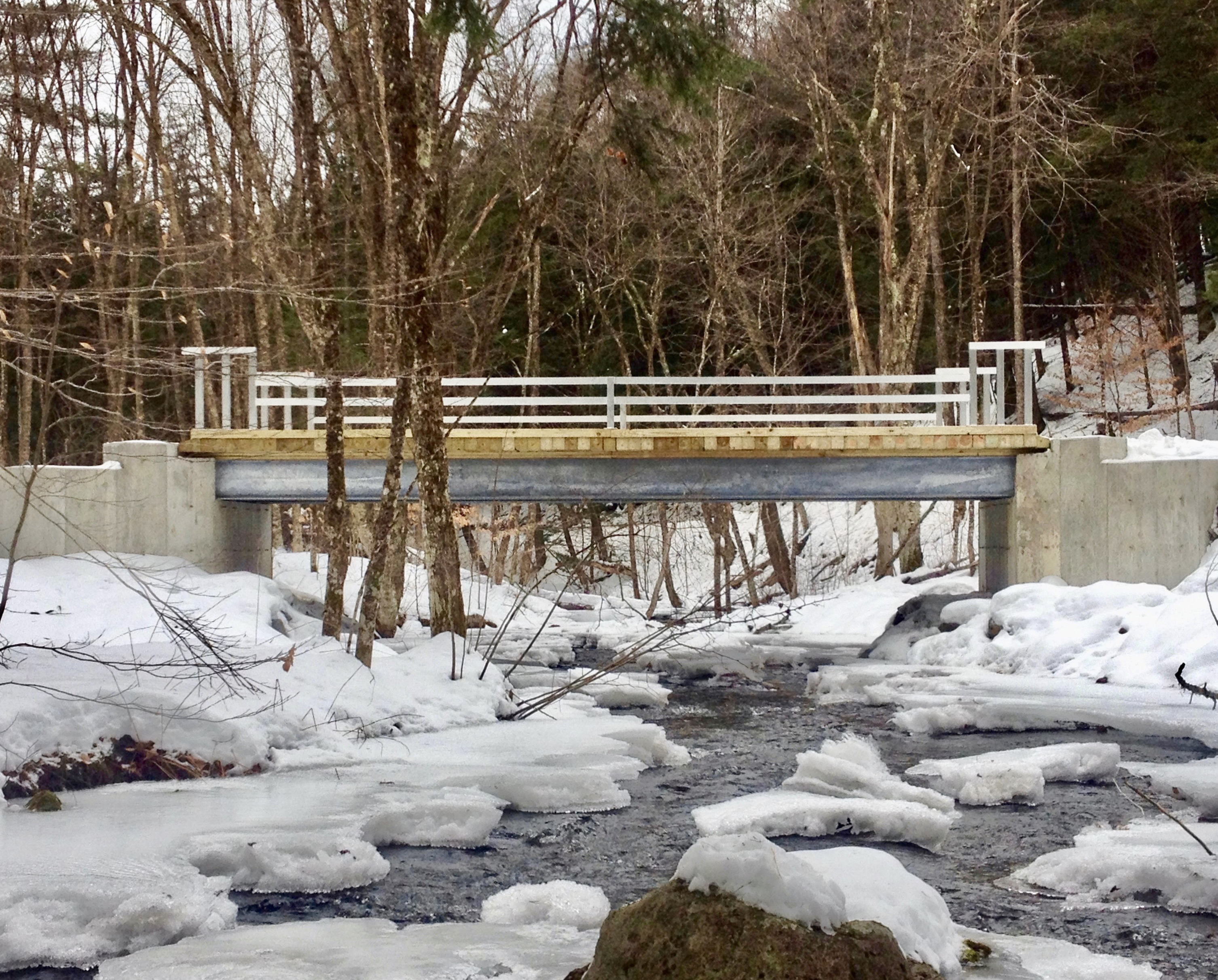 An Architectural Vision on Virgin Land – Ark and Bridge Vermont by Nick Fabrikant