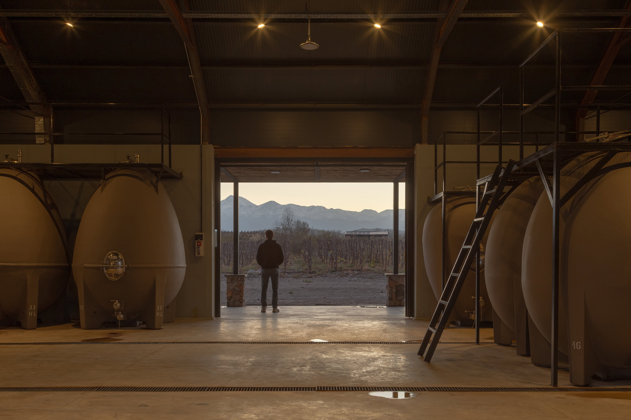 Escala Humana Wines Winery by Estudio Monte Arquitectura, Estudio RARE and Unamuno Arquitectura