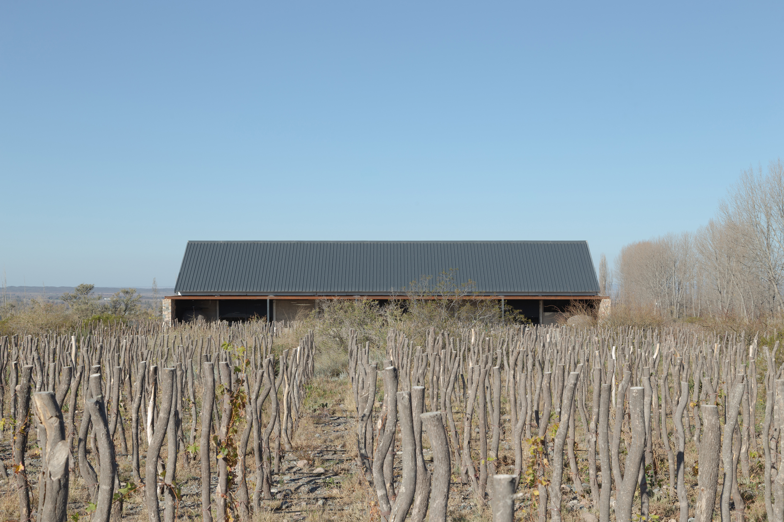 Escala Humana Wines Winery by Estudio Monte Arquitectura, Estudio RARE and Unamuno Arquitectura