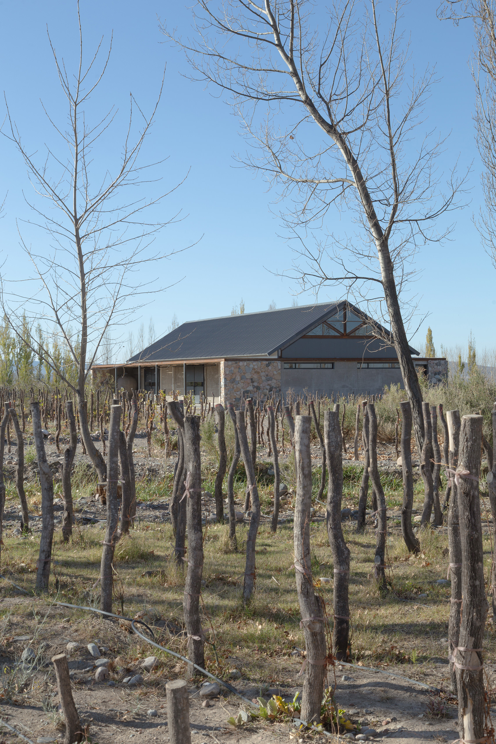 Escala Humana Wines Winery by Estudio Monte Arquitectura, Estudio RARE and Unamuno Arquitectura