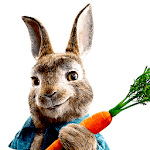 Pệter Rabbit Wallpaper HD for PC