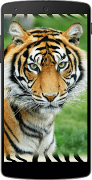 Backgrounds HD QHD Wallpapers for PC screenshot 3