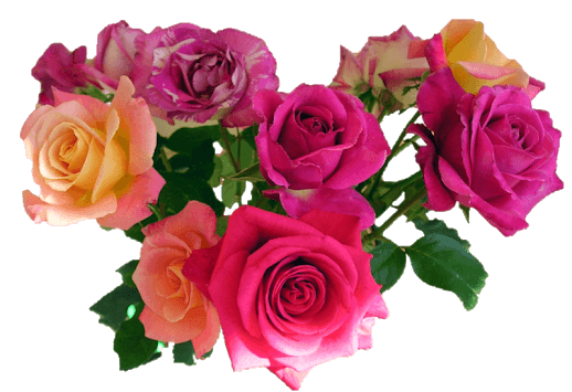 Wonderful Flowers Roses images Gif for PC screenshot 2