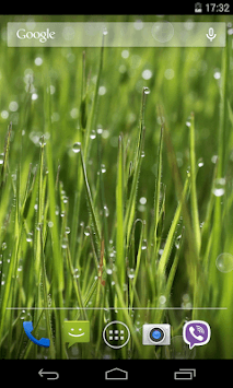 Grass Live Wallpaper for PC screenshot 3