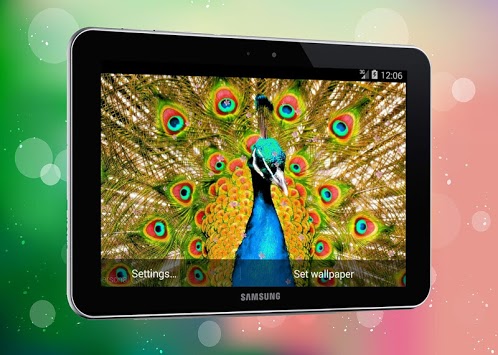 New Peacock Live Wallpaper for PC screenshot 2