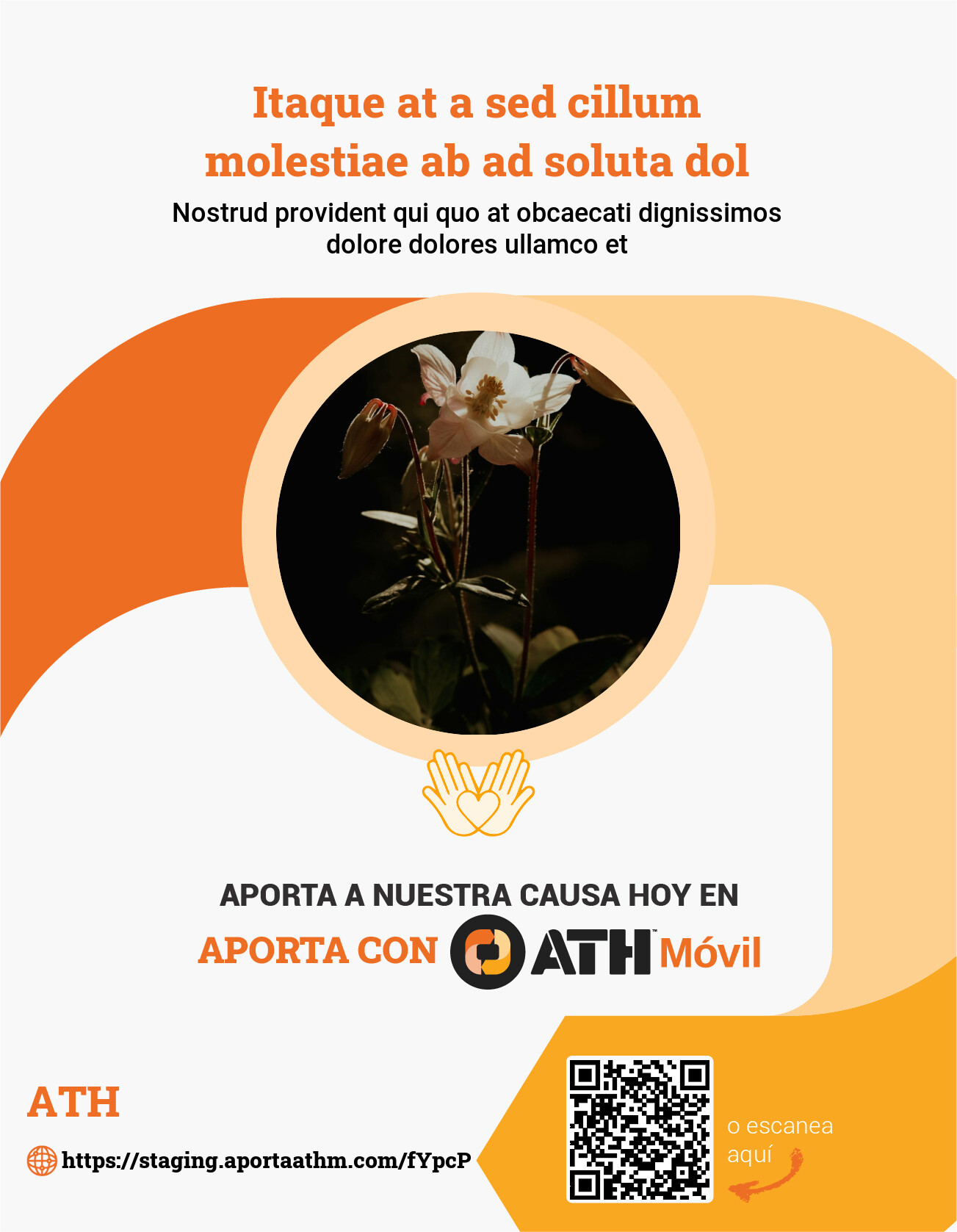 campaign-image