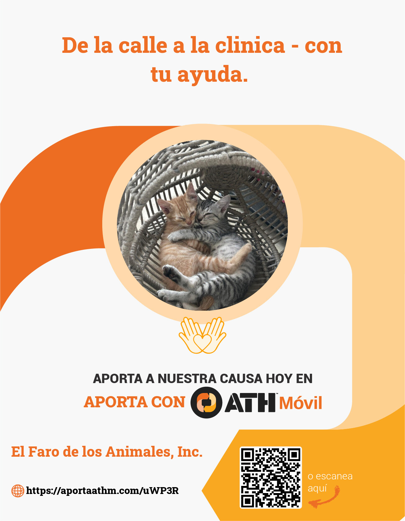 campaign-image