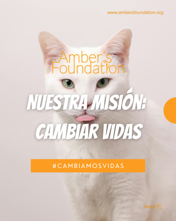 campaign-image